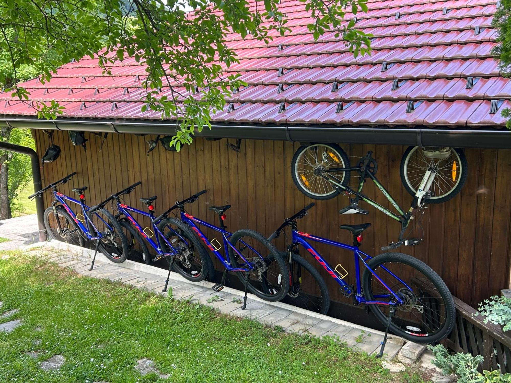 D.I.M. Holiday House Seliste Dreznicko Exterior foto